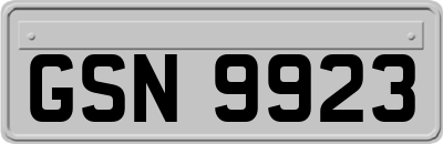 GSN9923