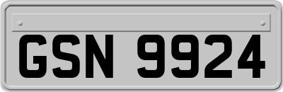 GSN9924