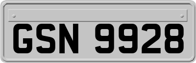 GSN9928
