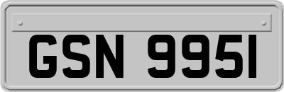 GSN9951