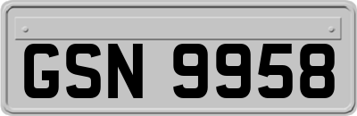 GSN9958