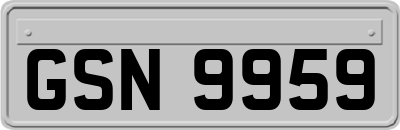 GSN9959