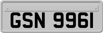GSN9961