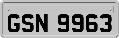 GSN9963