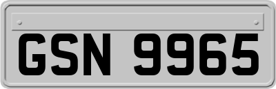 GSN9965