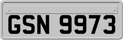 GSN9973