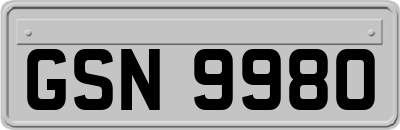 GSN9980