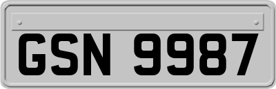 GSN9987