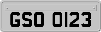 GSO0123