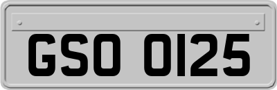 GSO0125