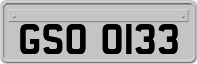 GSO0133