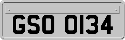 GSO0134