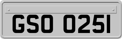 GSO0251