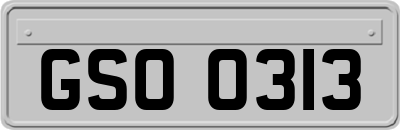 GSO0313