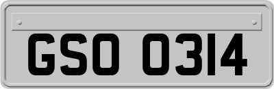 GSO0314