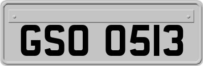 GSO0513