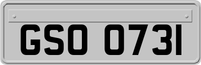 GSO0731