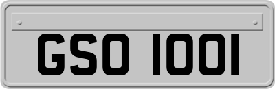 GSO1001