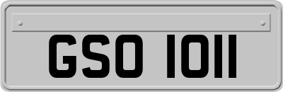GSO1011