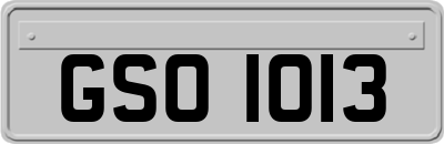 GSO1013