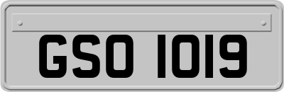 GSO1019