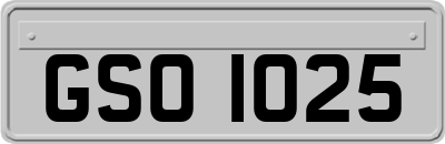 GSO1025