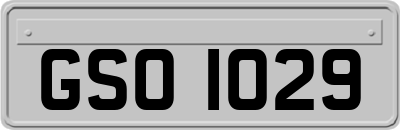 GSO1029