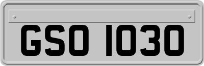 GSO1030