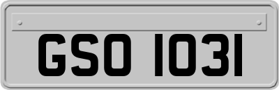 GSO1031