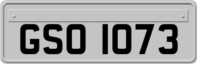 GSO1073