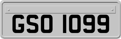 GSO1099