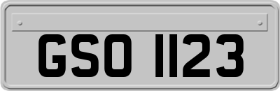 GSO1123