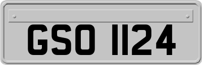 GSO1124
