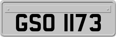 GSO1173
