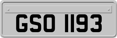 GSO1193