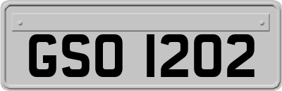 GSO1202