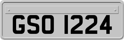 GSO1224