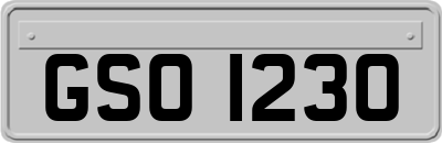 GSO1230