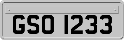 GSO1233