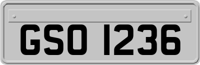 GSO1236