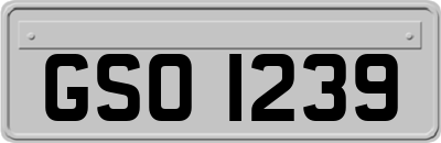 GSO1239