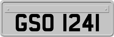 GSO1241