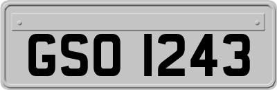 GSO1243