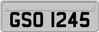 GSO1245