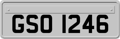 GSO1246