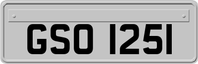 GSO1251