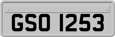 GSO1253