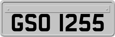 GSO1255