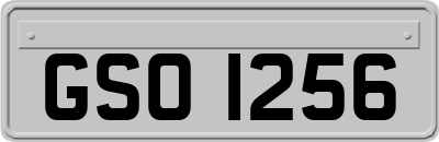 GSO1256