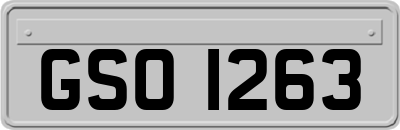 GSO1263